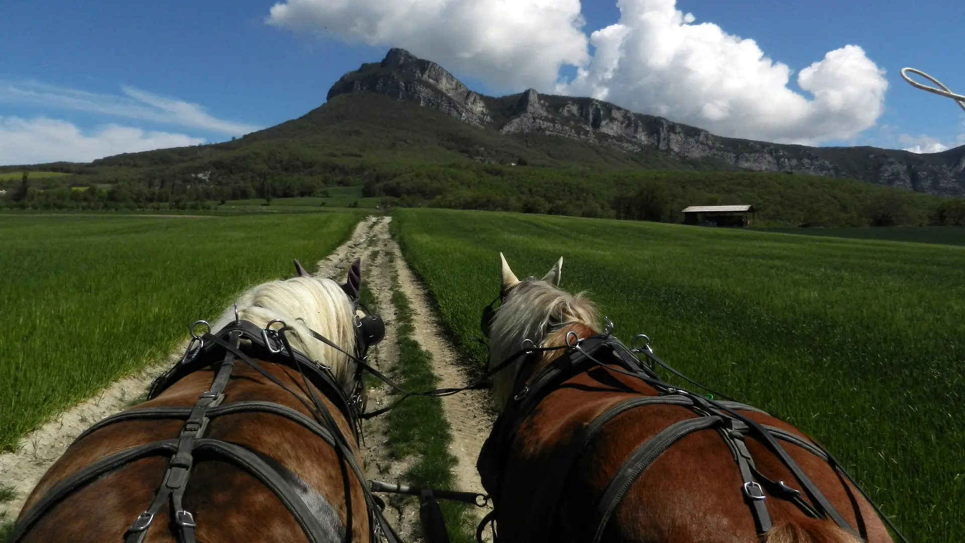 Chemin de la plaine de saou attelage