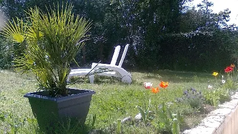 Garten