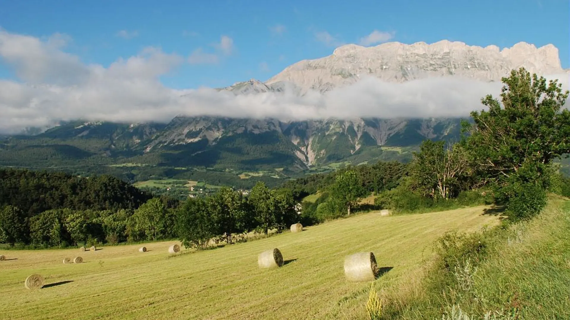 Champ fauché et balles rondes de foin à Beaurepaire