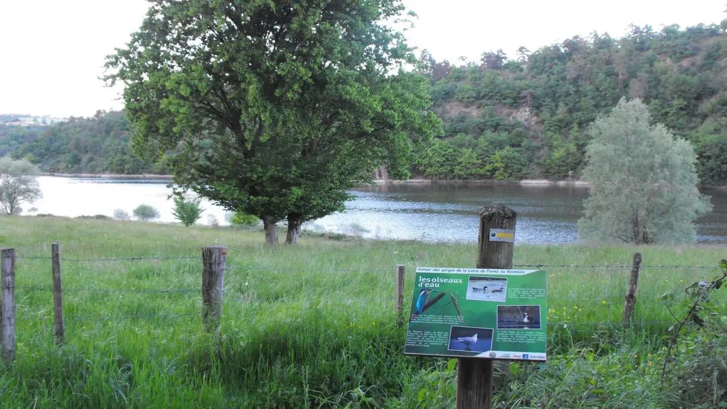 chemin de randonnée au départ du gîte longeant la Loire