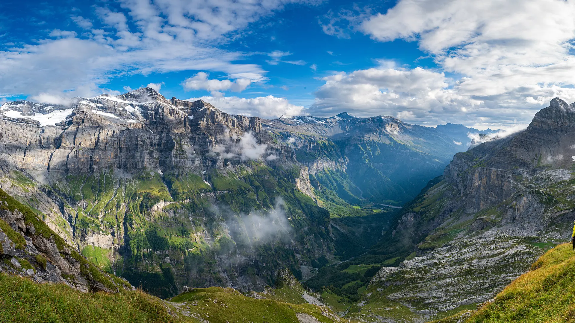 Panorama