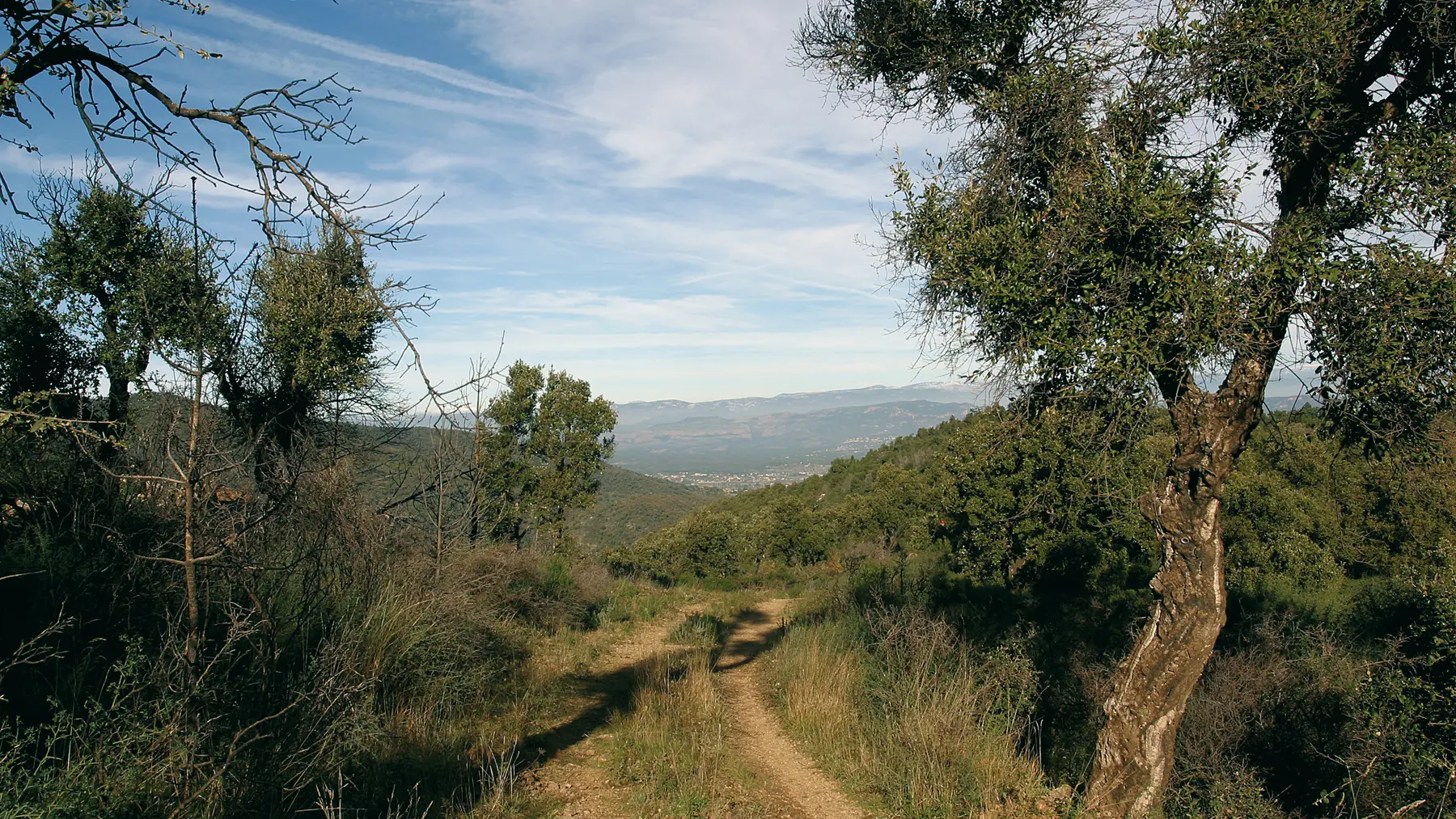 Massif des Maures