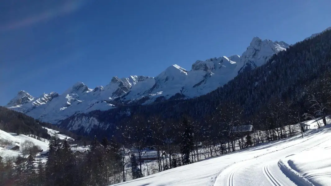 PISTE DE SKI DE FOND
LE GRAND-BORNAND