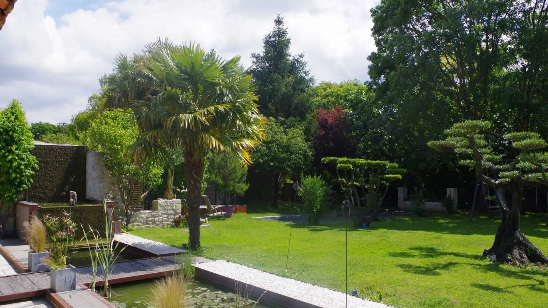 Jardin entrée, bassin japonais
