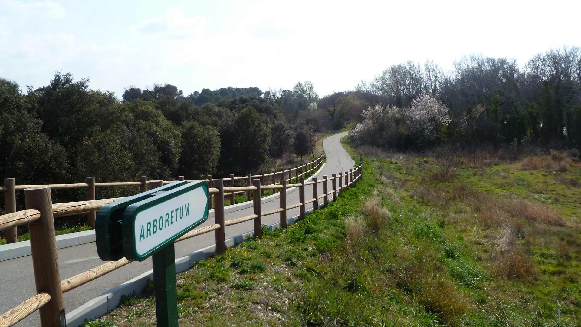 Accès à l'arboretum depuis la Via Venaissia