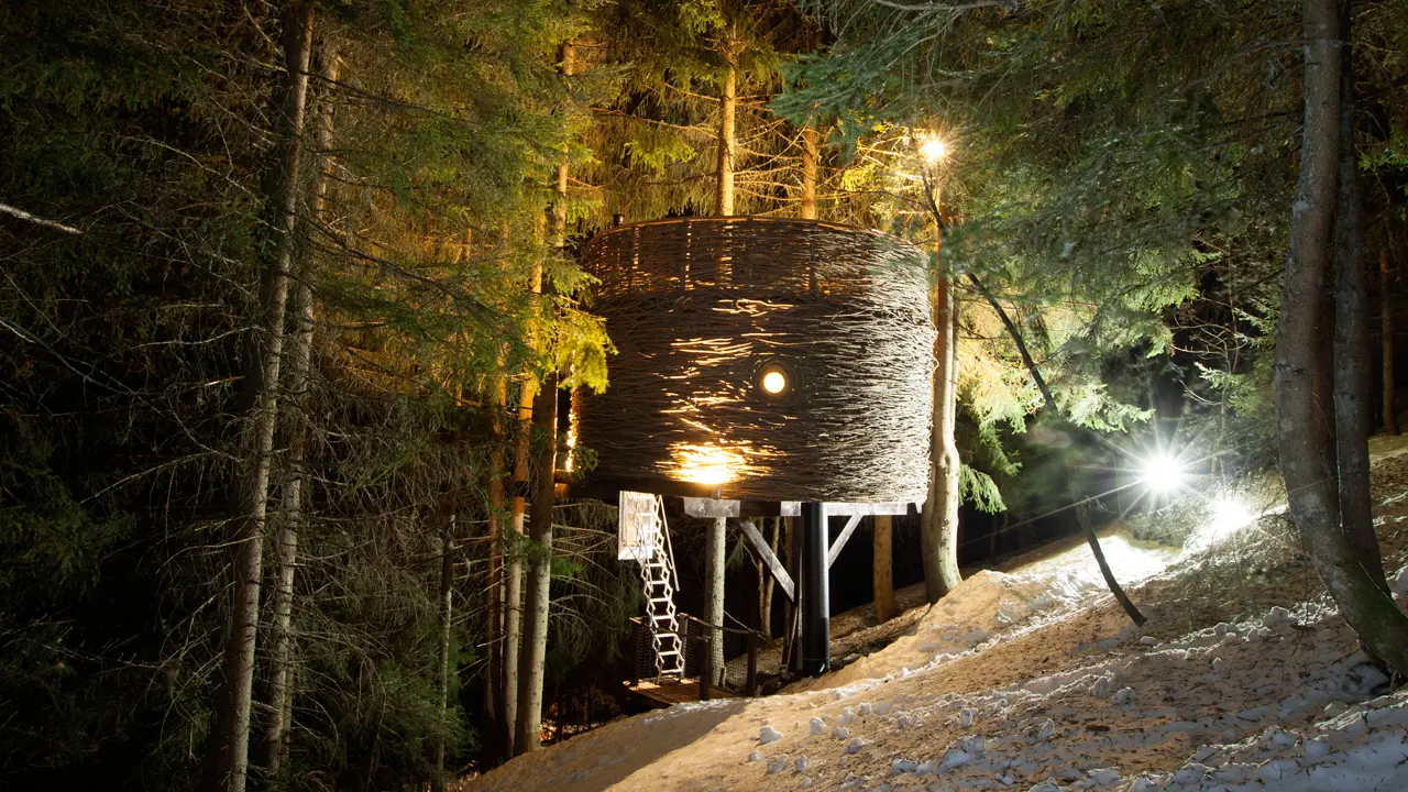Nuit insolite dans une cabane perchée