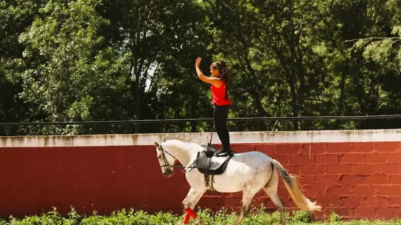 Représentation équestre avec une cavalière debout sur son cheval.