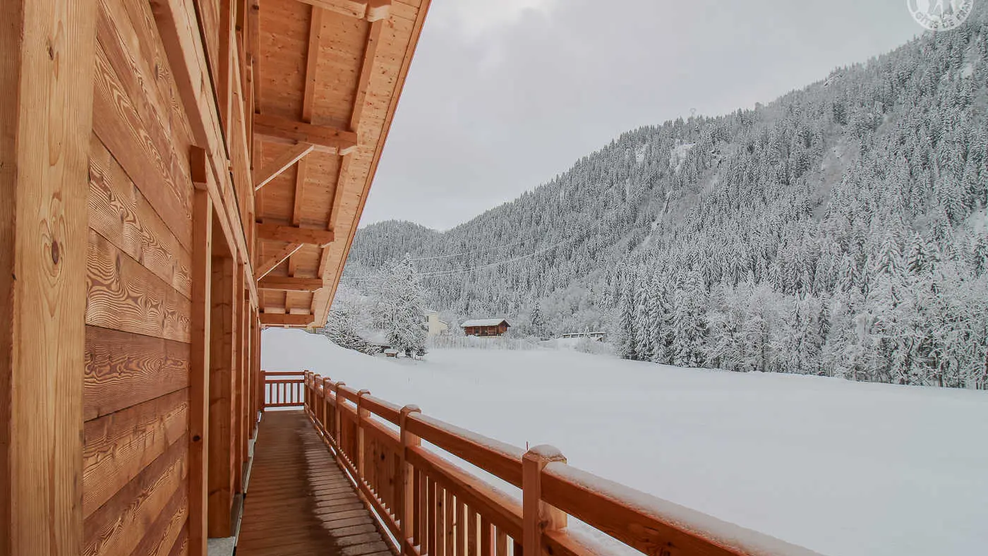 73G132341 - CHALET BELLEVILLE - HAUTELUCE