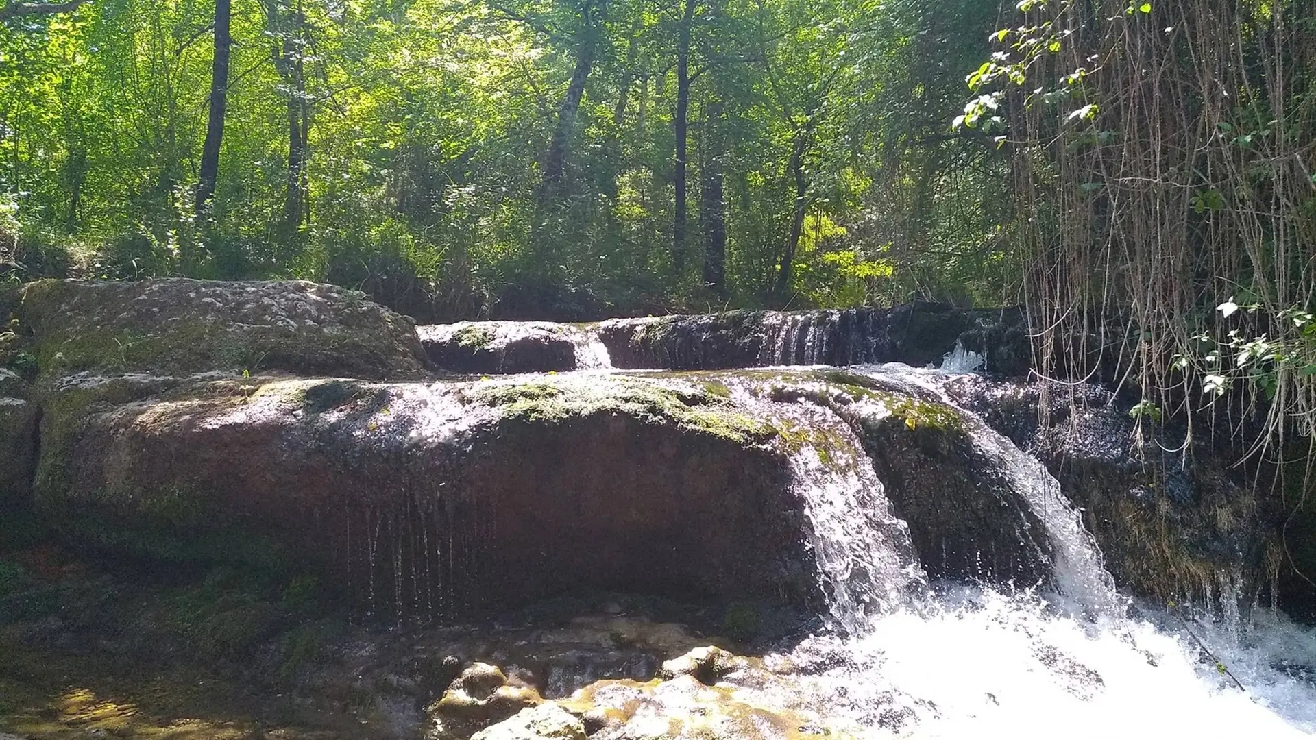 Petite chute d'eau en zone ombragée par la forêt avoisinante