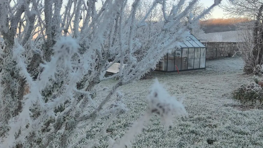 Jardin sous la neige