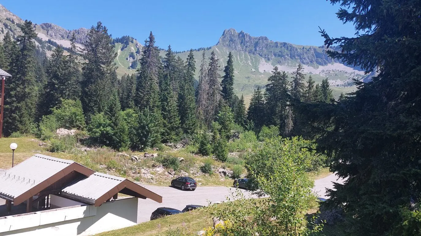 Vue en été