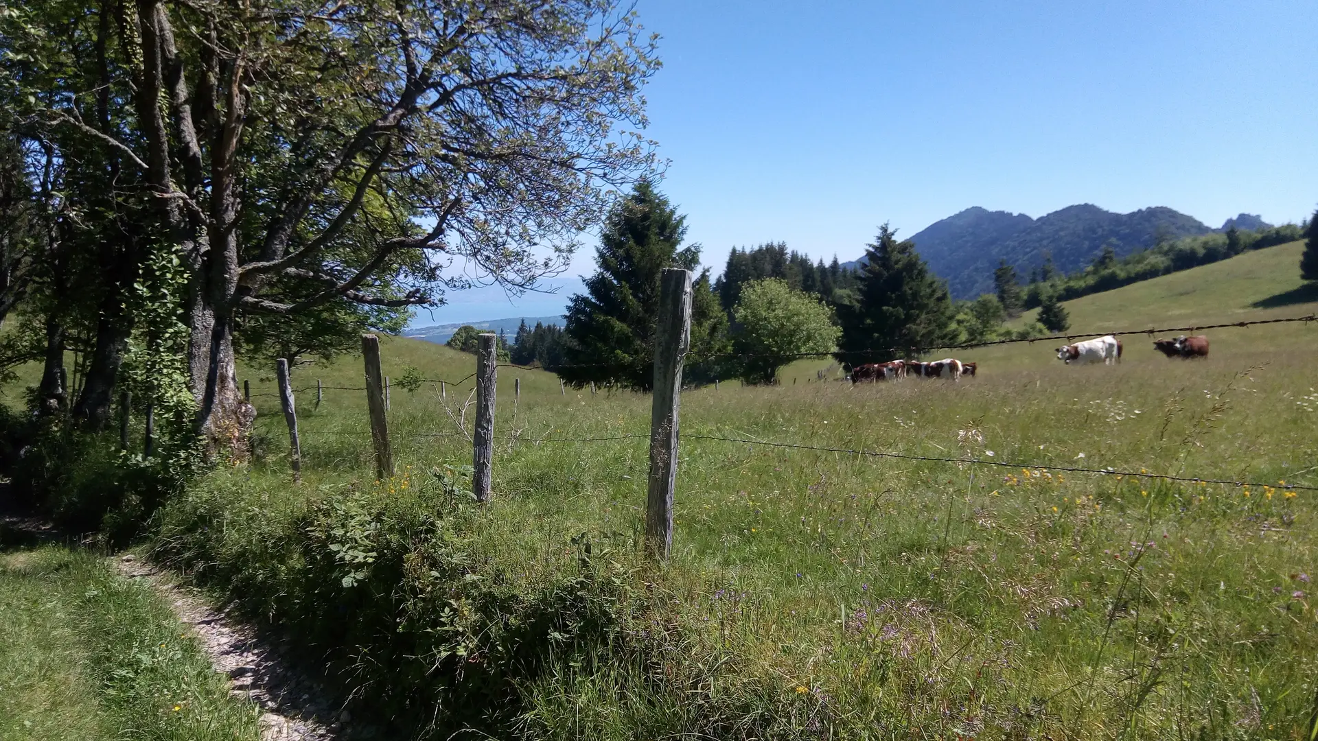 photo-prestataire