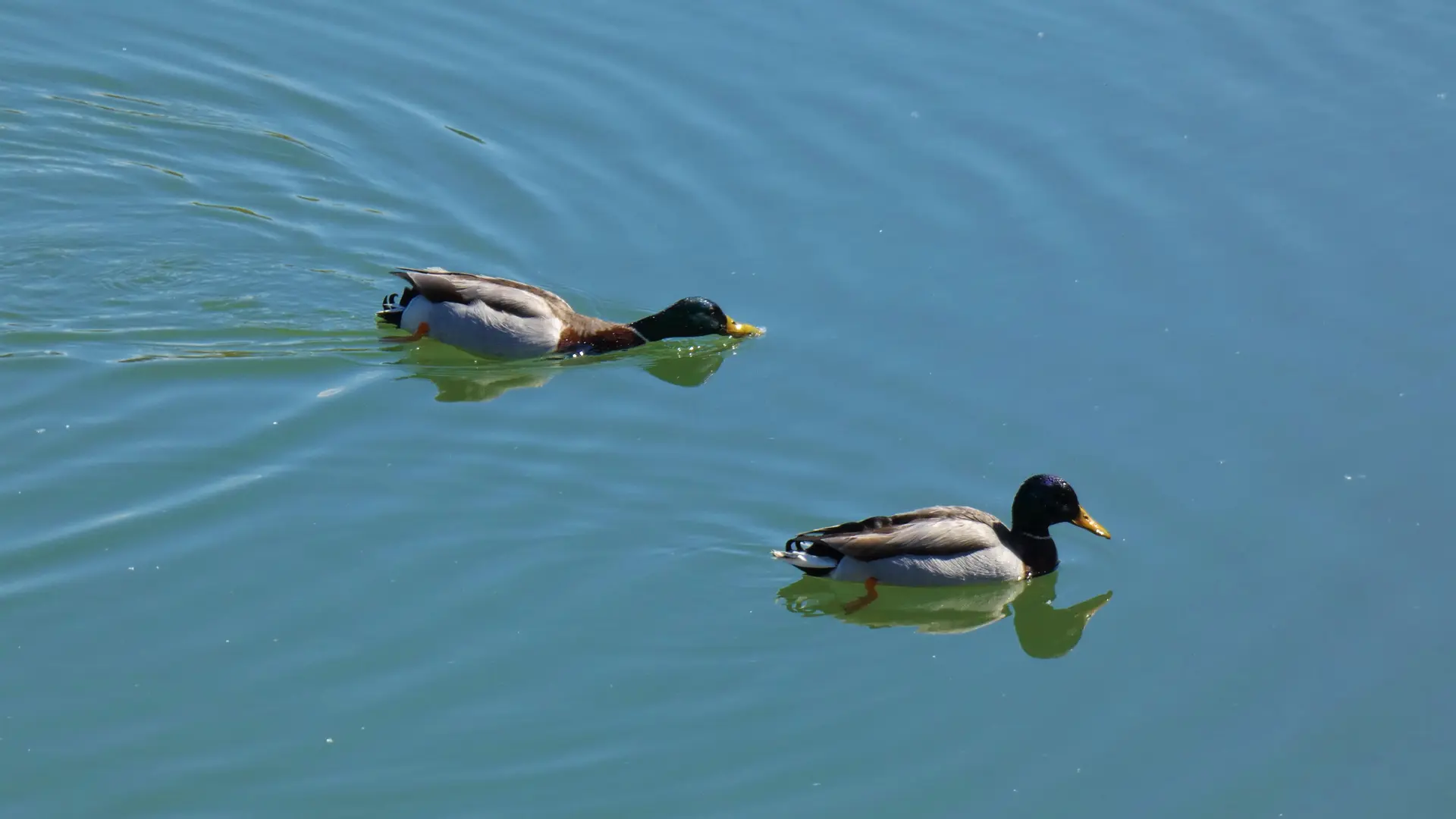 Lac de Mison Upaix