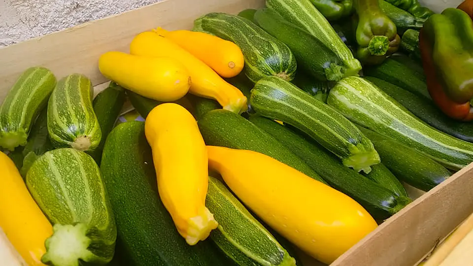courgettes