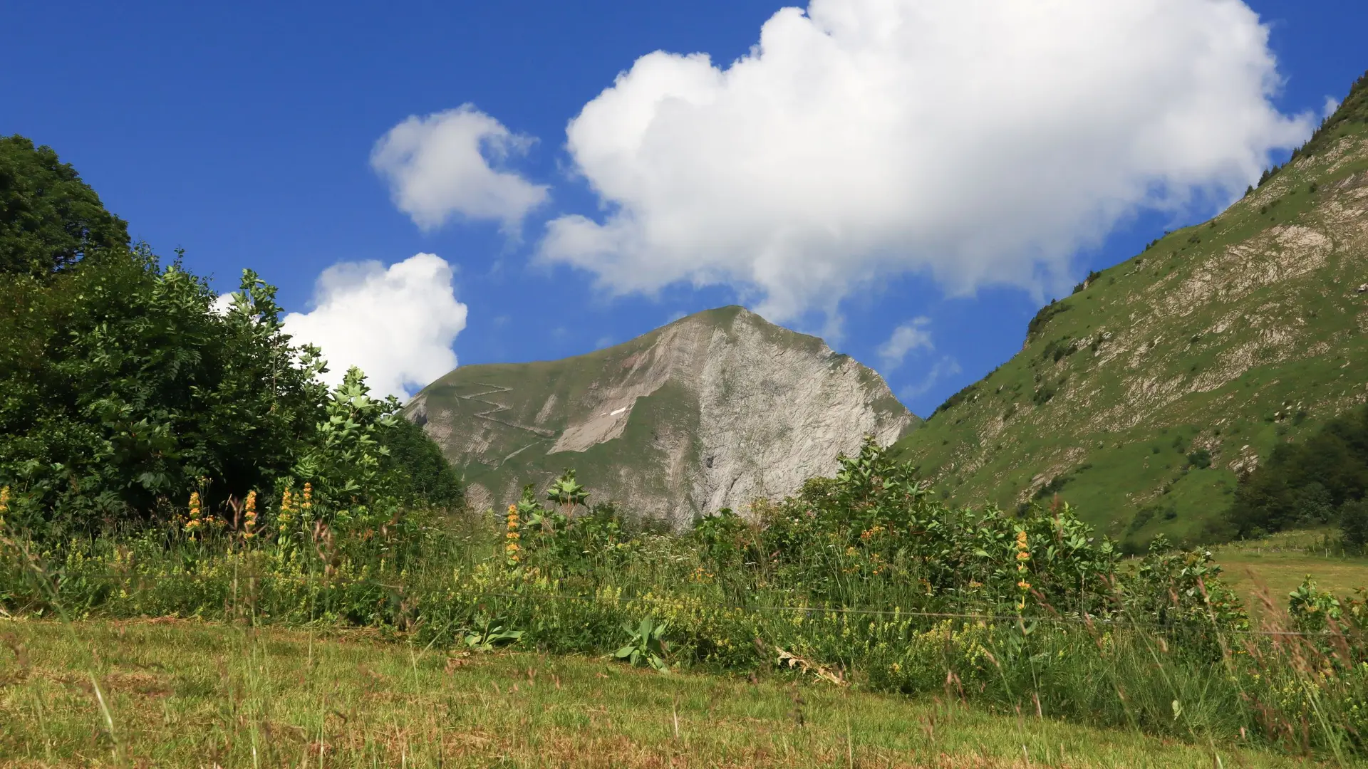 panorama