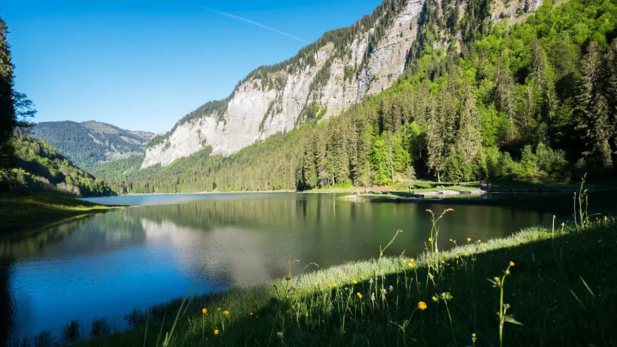 Lac de Montriond