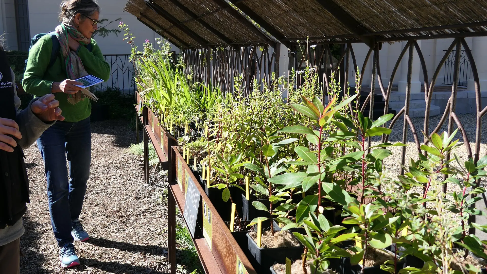 La pépinière du Domaine du Rayol_Rayol-Canadel sur Mer