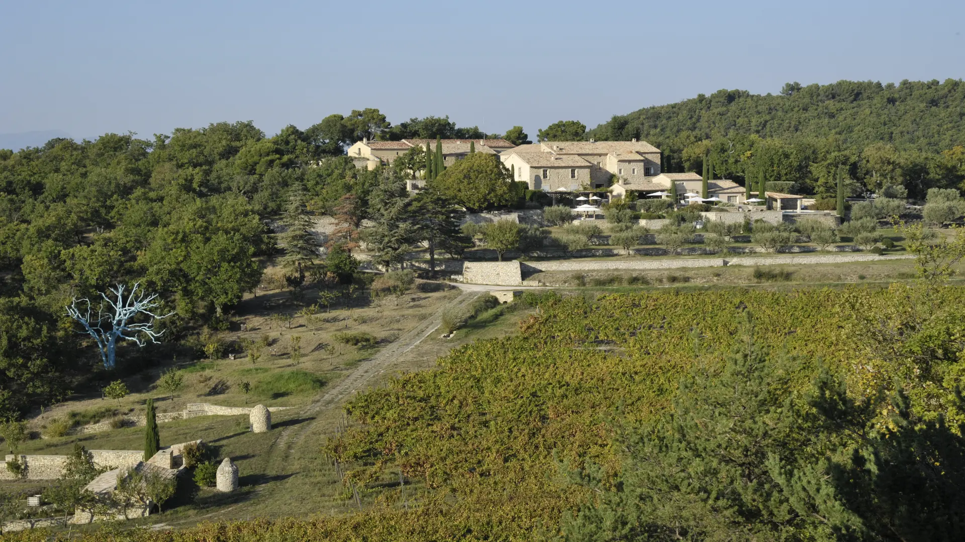 Un Prieuré médiéval au milieu des vignes