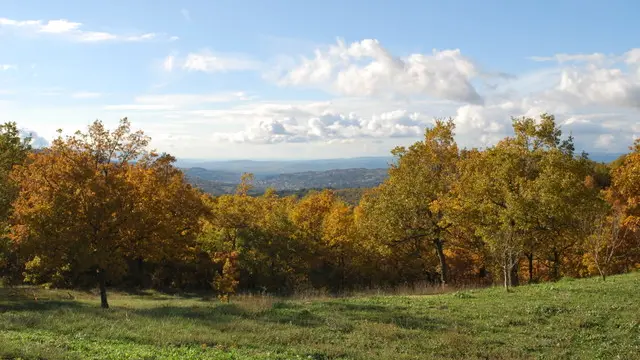 Location - Corinne Martin Deperdu Gervasoni