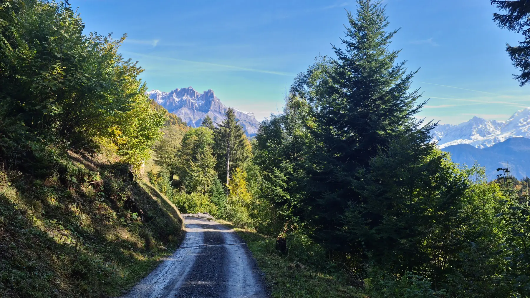 le chemin