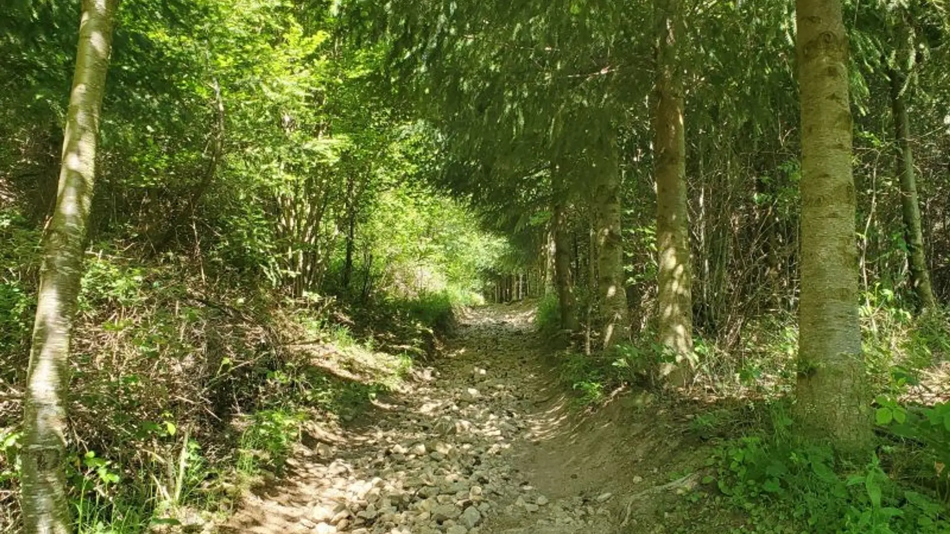 Sentier menant à la Croix de Chirol