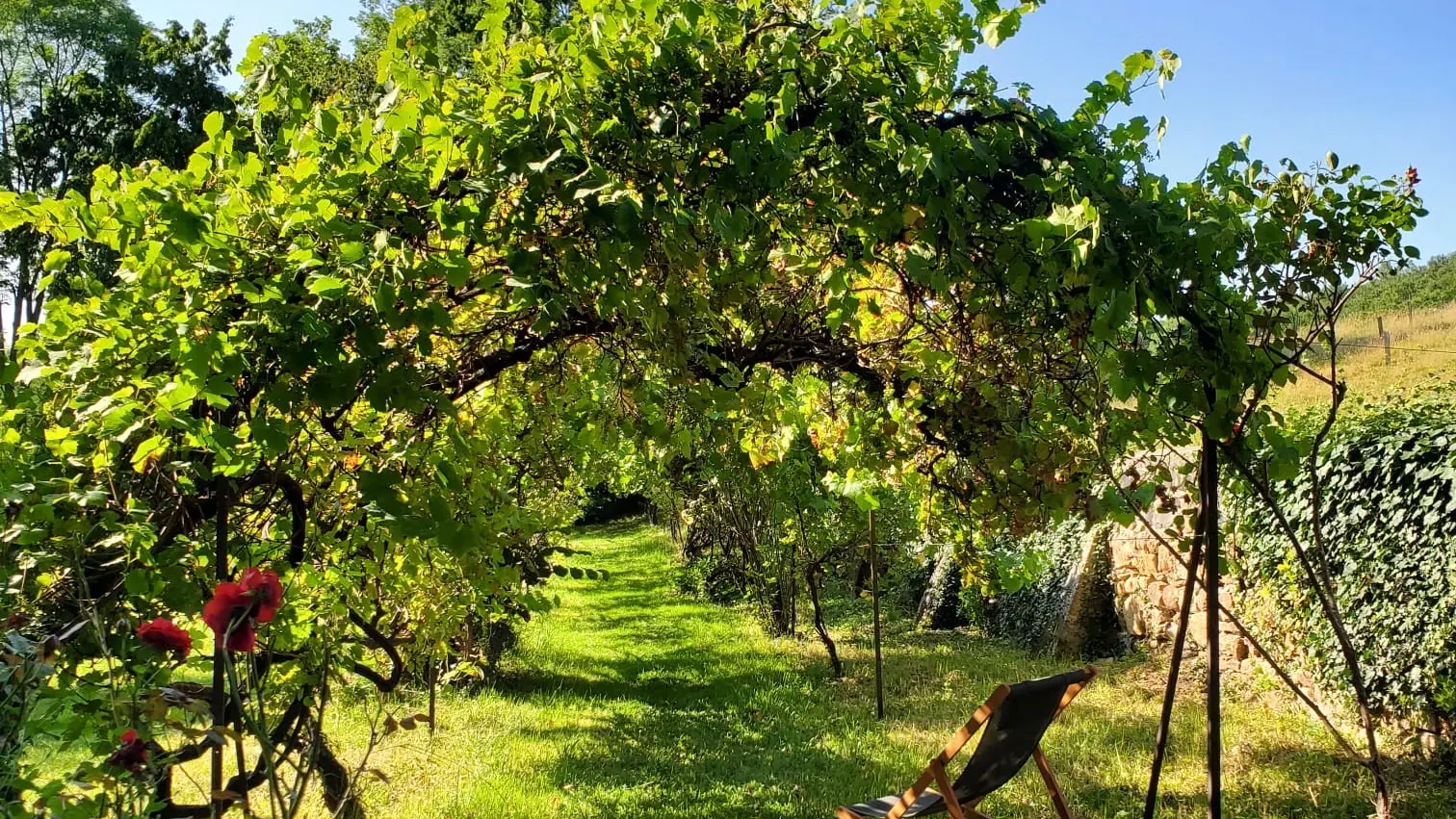 le pas de côté aux vinzelles