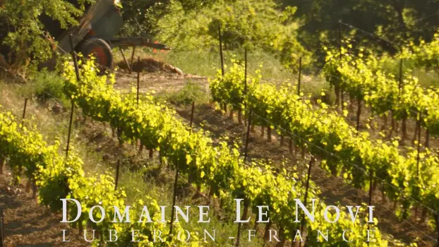 Jeu des Pitchouns au Novi à La Tour d'Aigues_La Tour-d'Aigues