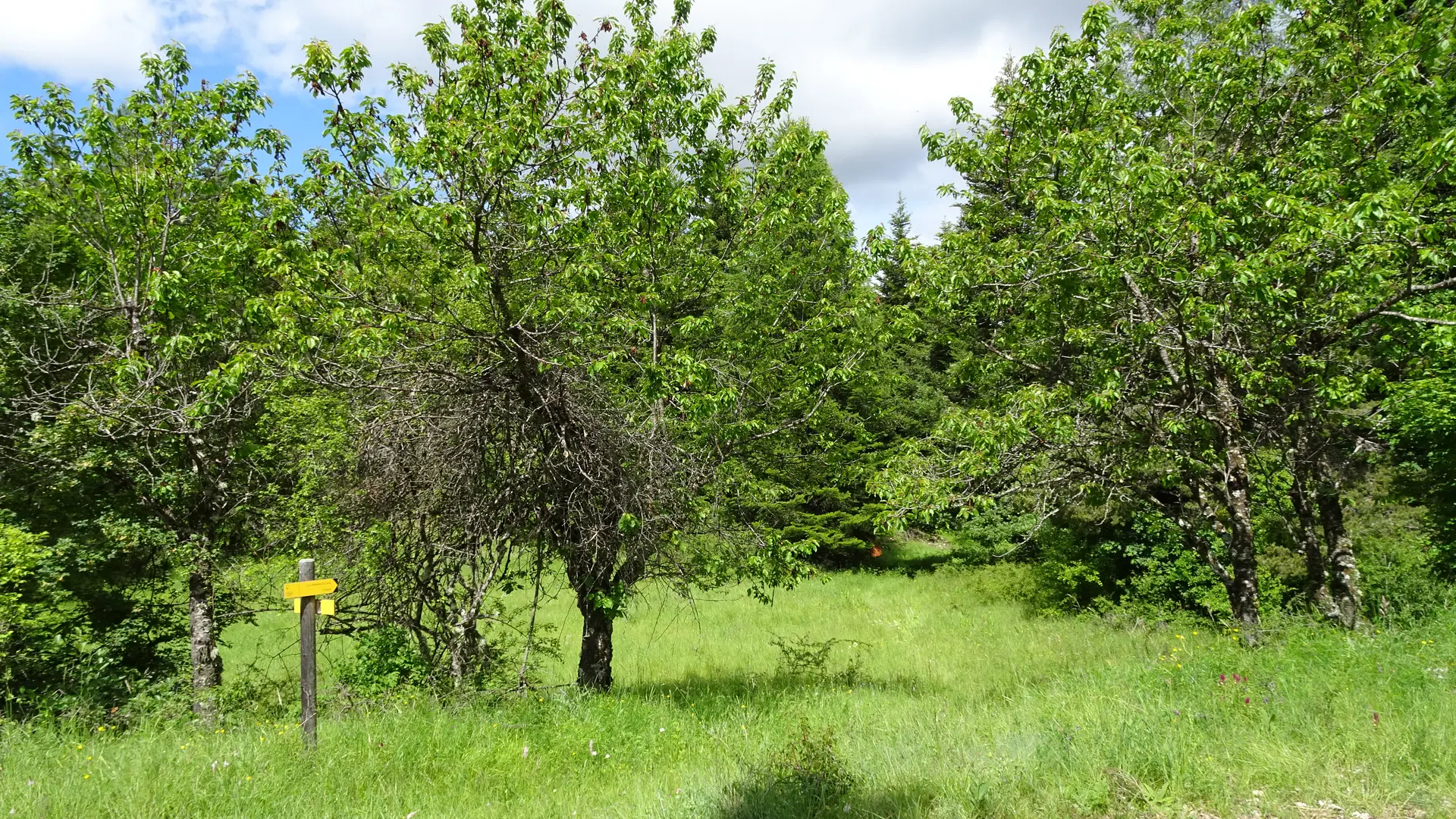 Le Seuil Saint André les Alpes