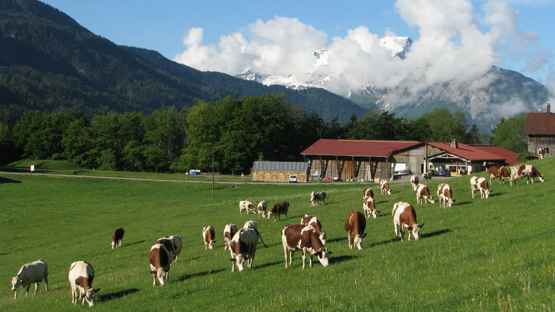 Image de la ferme