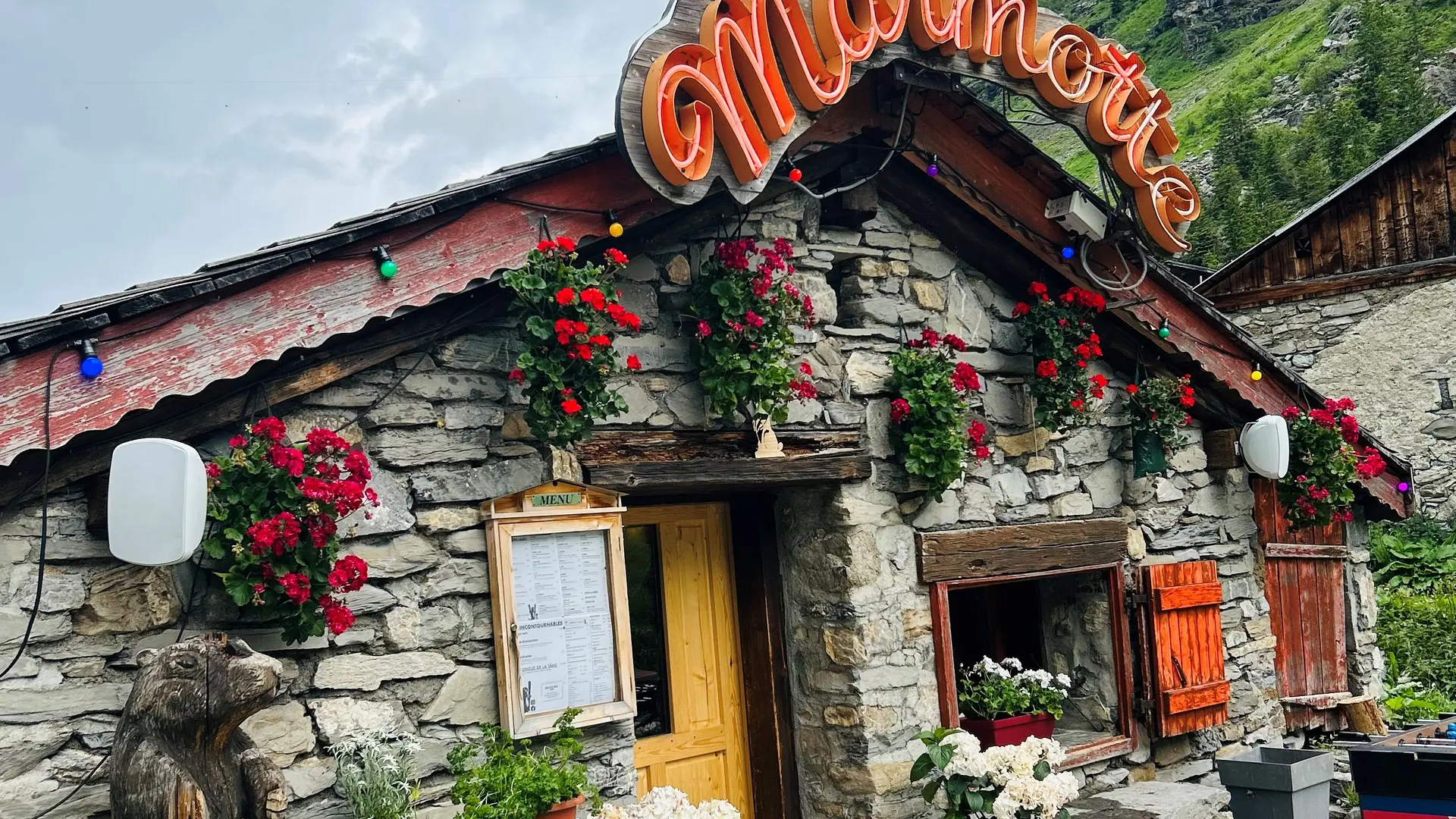 La Tane Ô Marmottes