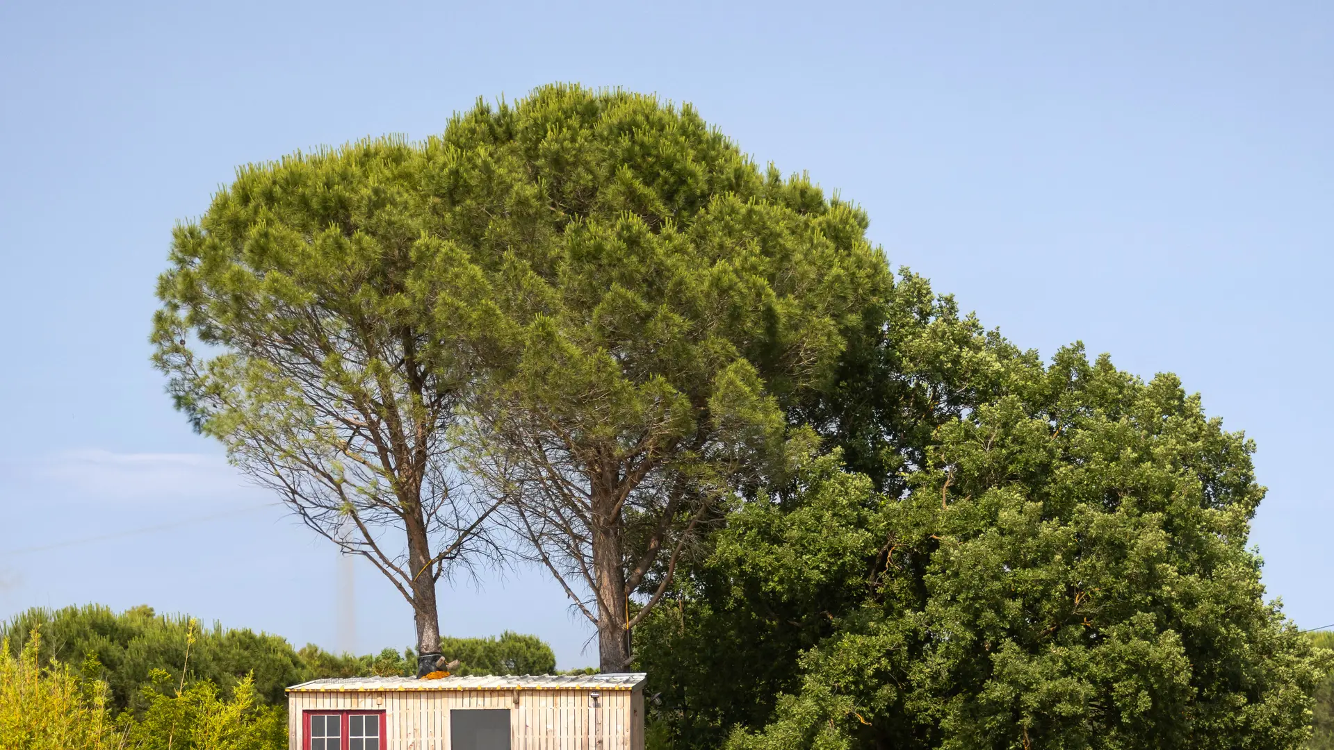 Domaine Les Arbillons_Vidauban