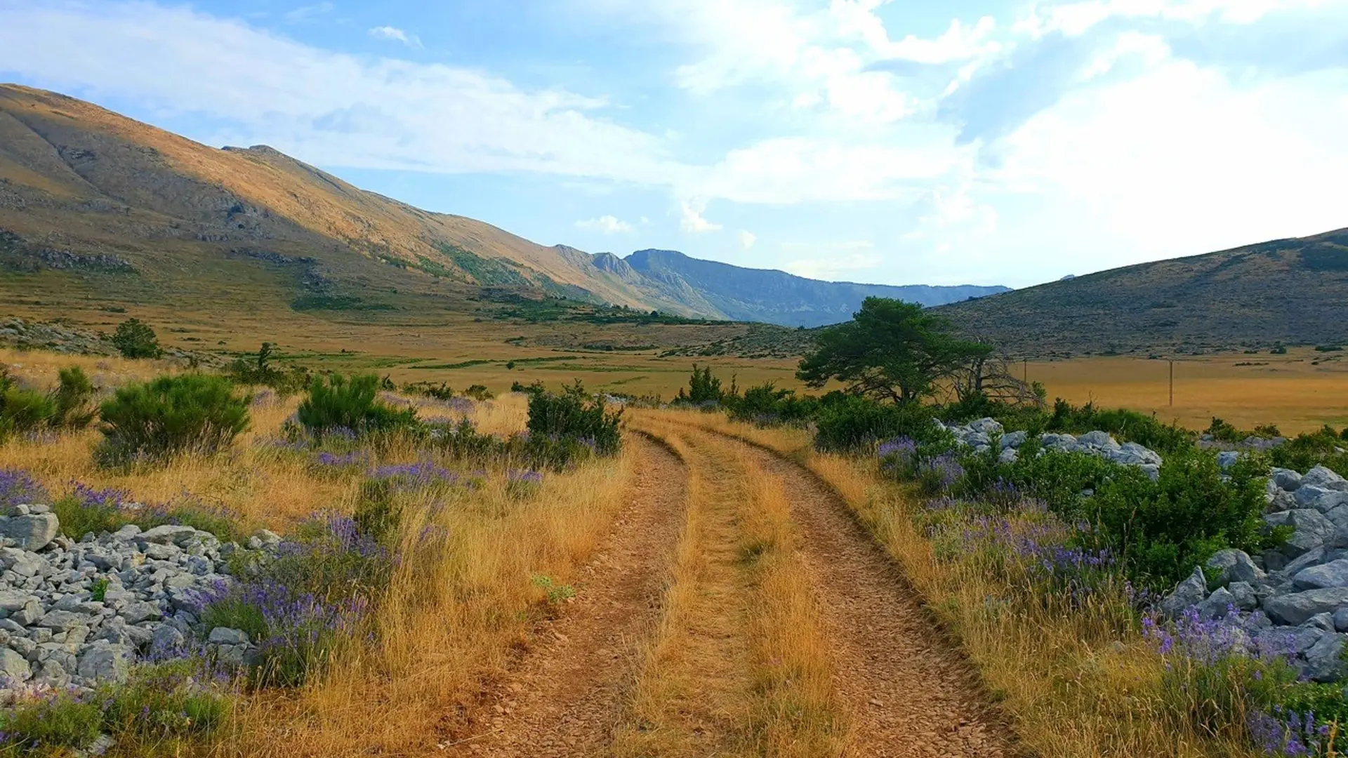 Sur le plateau de Suech