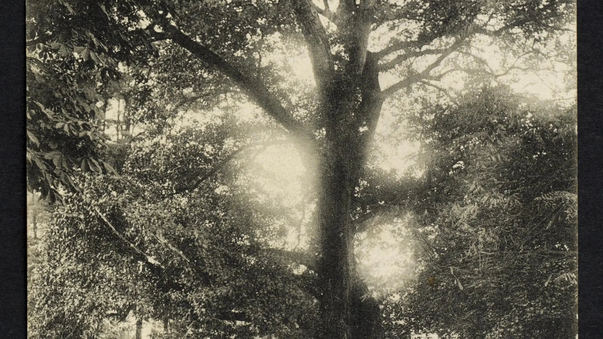 Carte postale, vers 1914