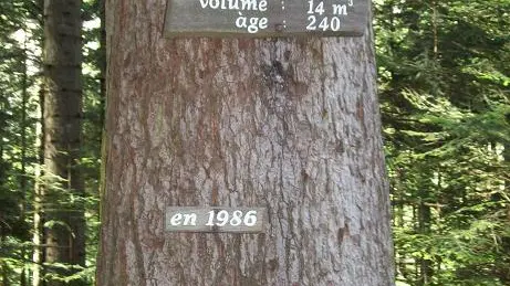mensuration en 1986