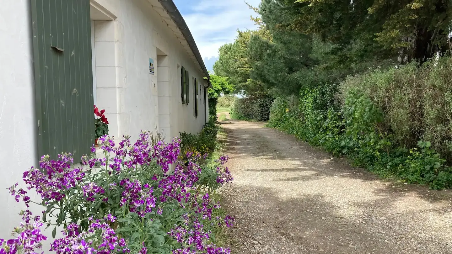 Vista exterior