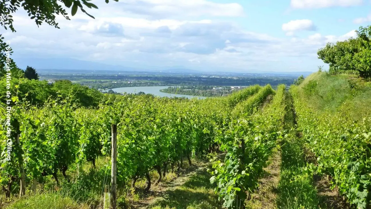 De l'Ermite à l'Hermitage