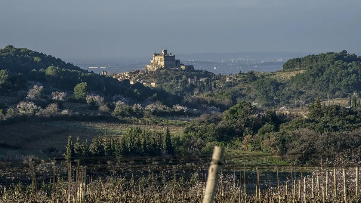 Le château