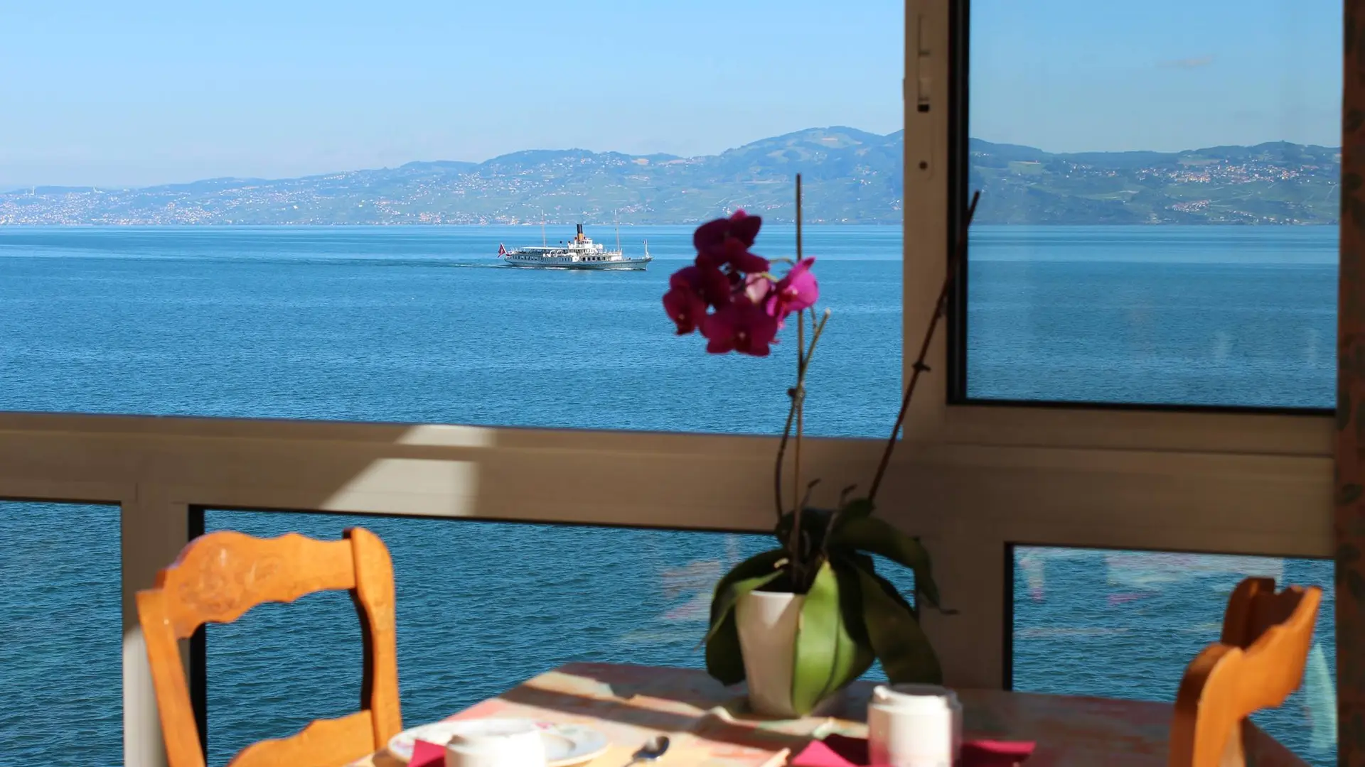 Vue depuis la salle de restaurant