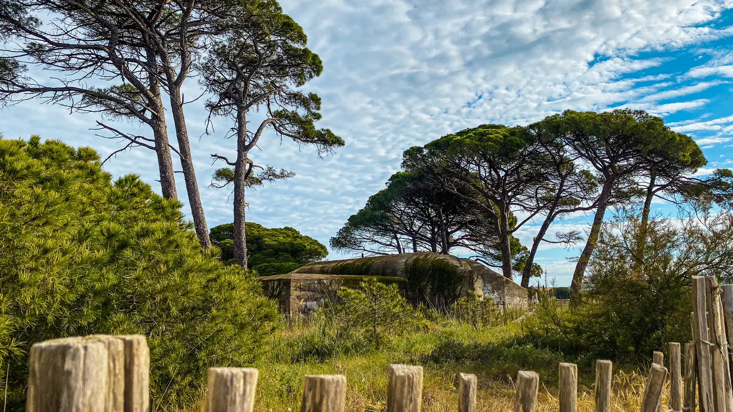 Visite guidée avec Cyril Barthelemy, guide conférencier à La Londe les Maures