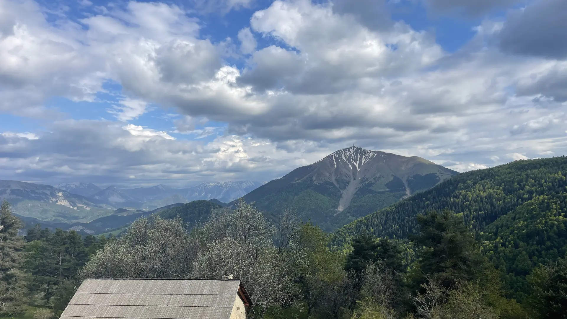 Séjour ornitho Tétras