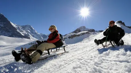 Luge Alpi Rando et Raquettes