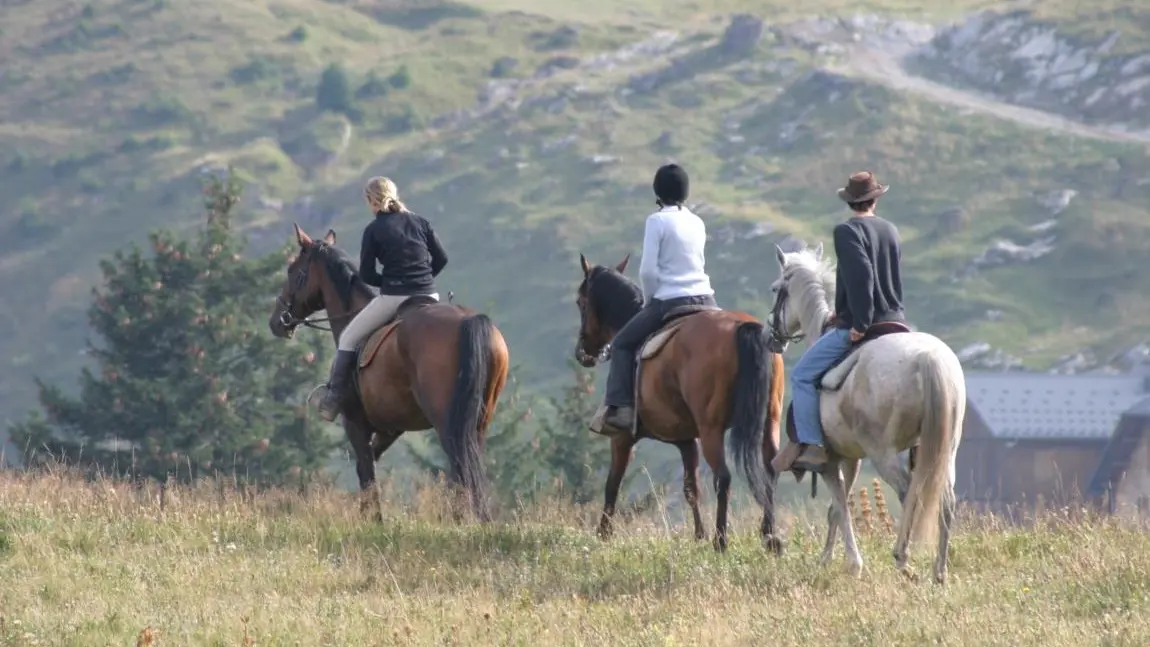 Randonnées à cheval
