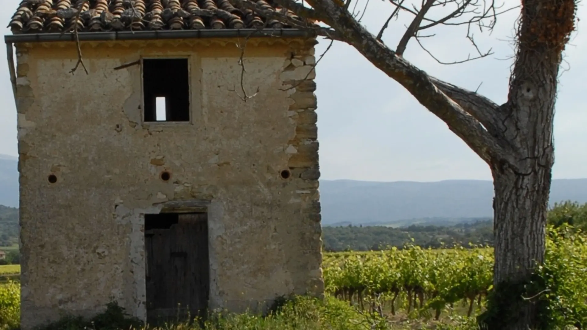 Cabanon typique du sud Luberon
