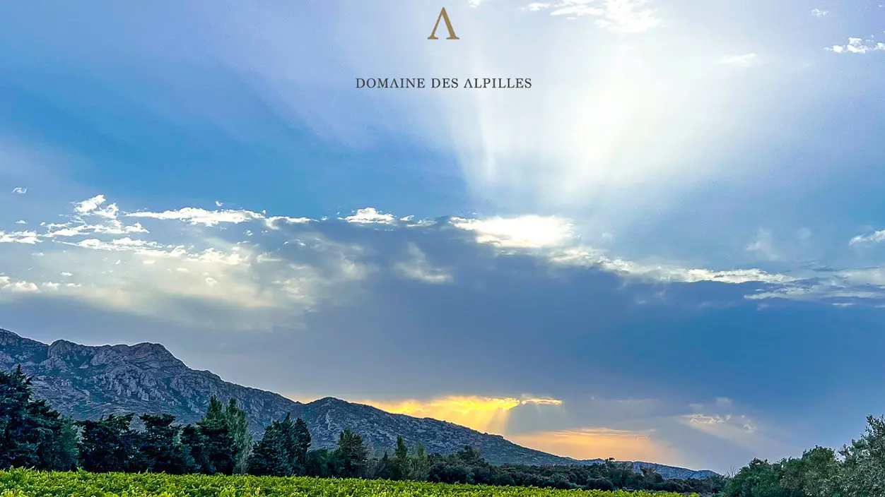 Domaine des Alpilles_Aureille