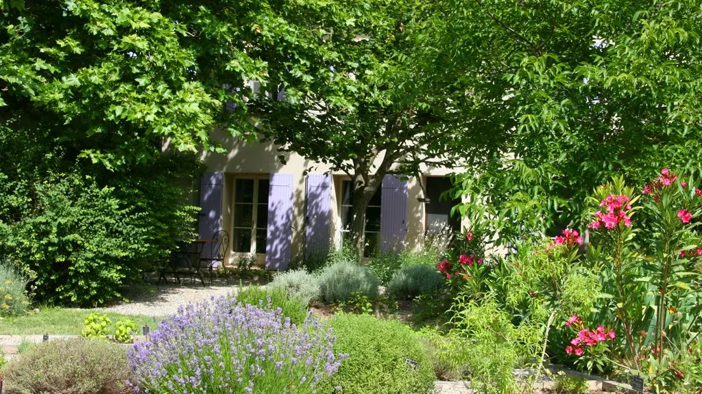 Collection Couleur Lavande