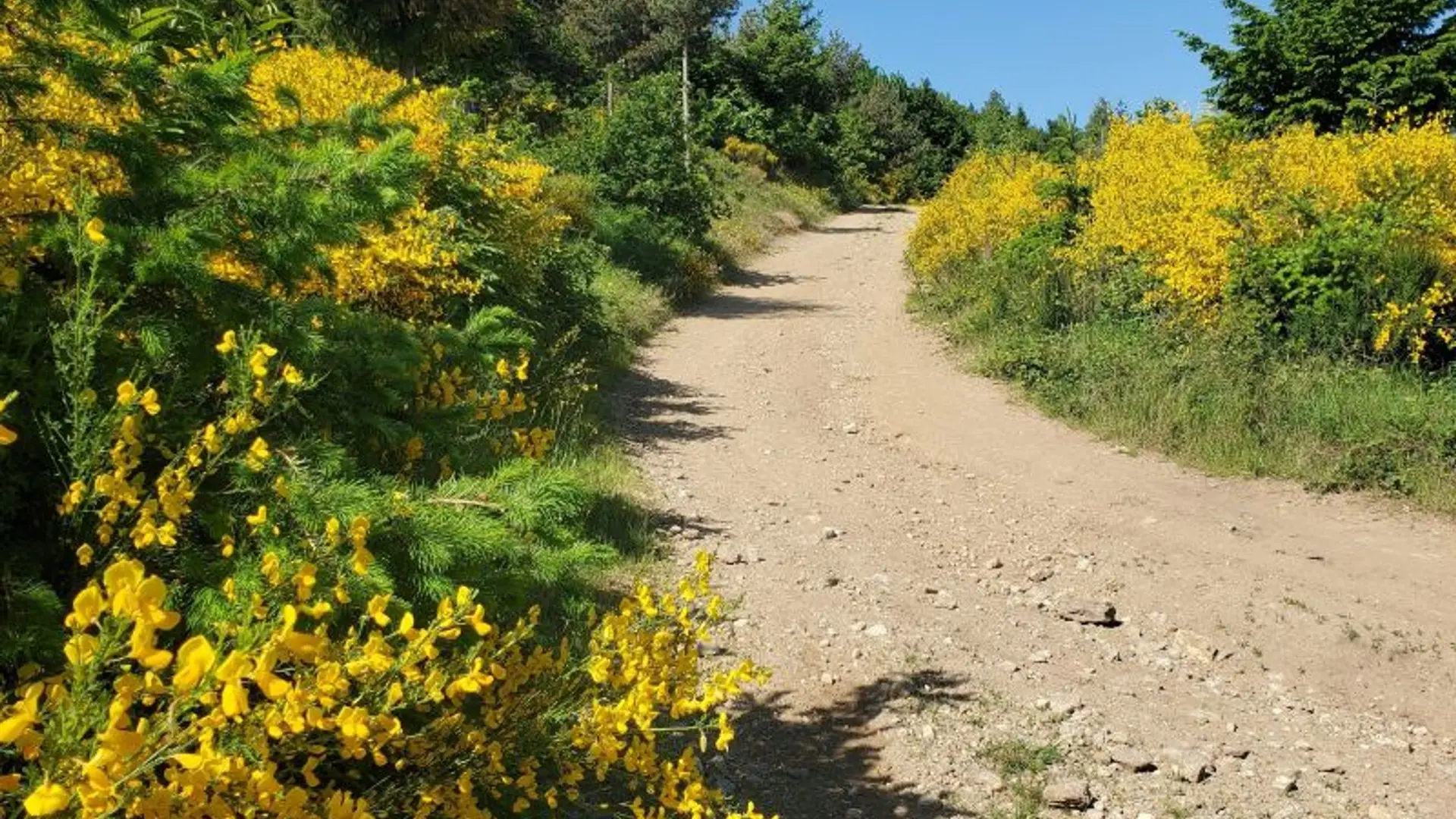 Sentier menant à la Croix de Chirol