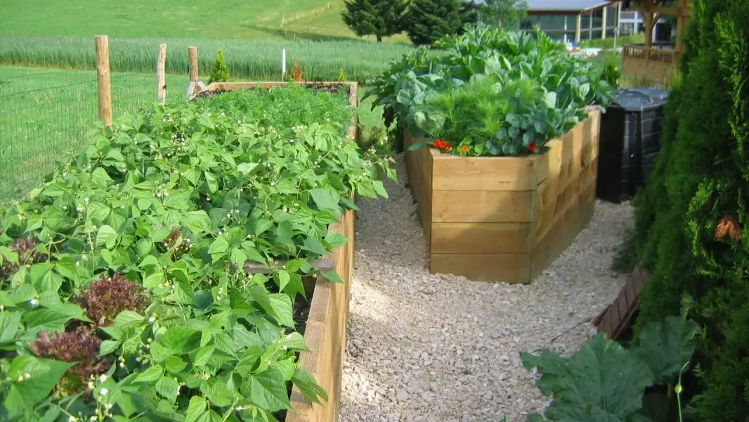 Notre jardin suspendu en culture bio pour les diners en table d hôtes