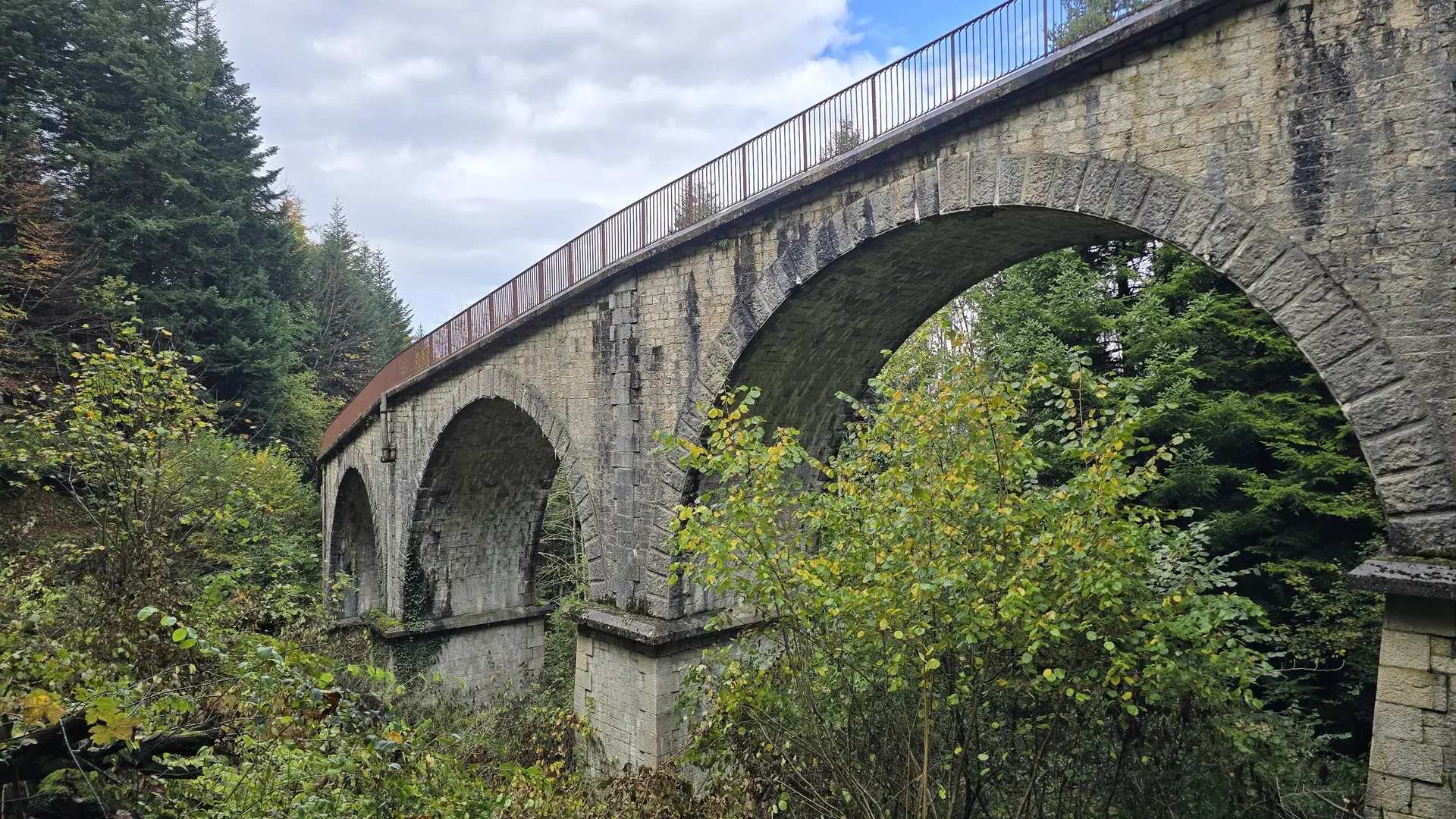 Sur les traces de la crémaillère_Viaduc