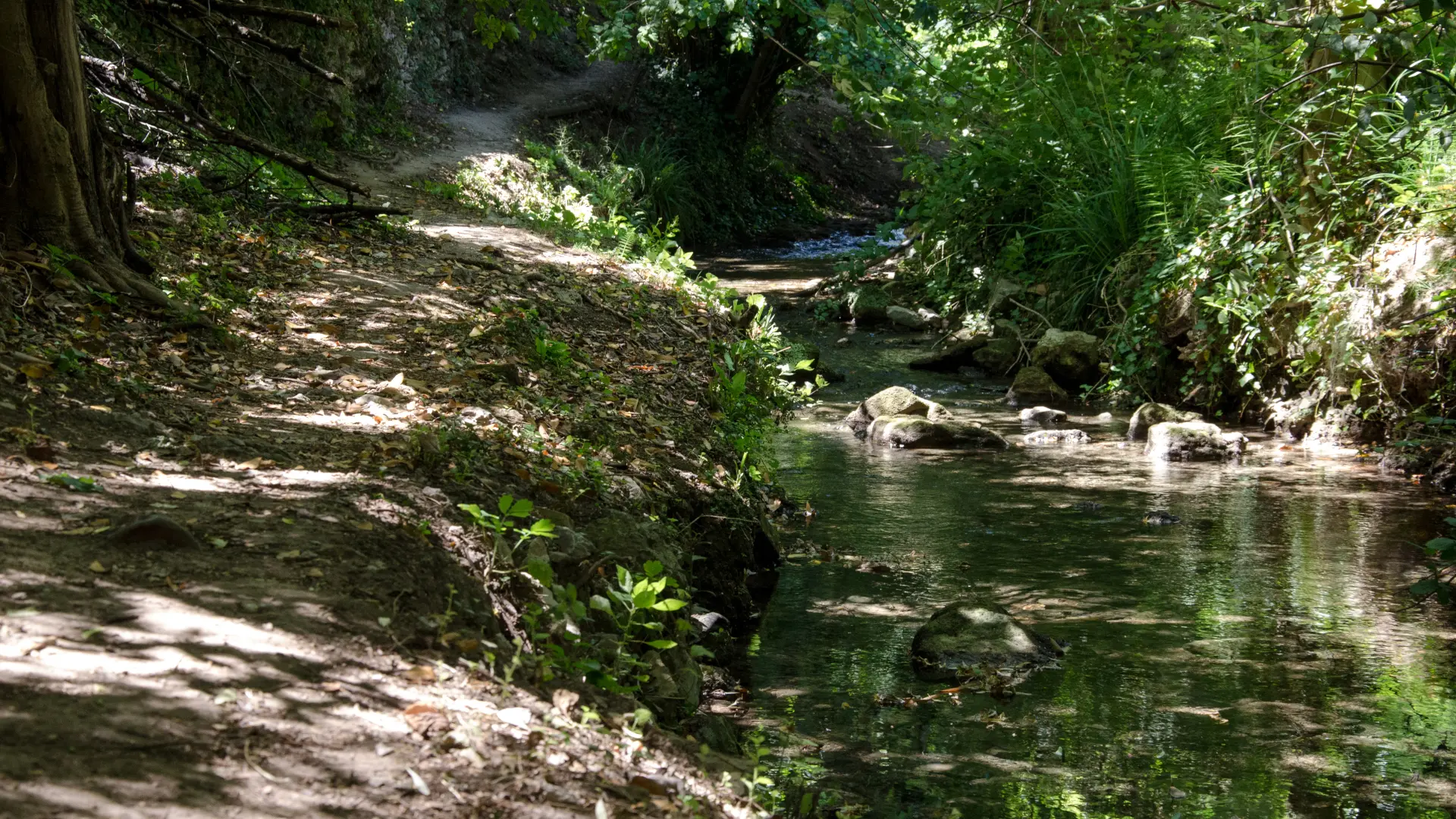 Vallon de Roubaud_Barjols