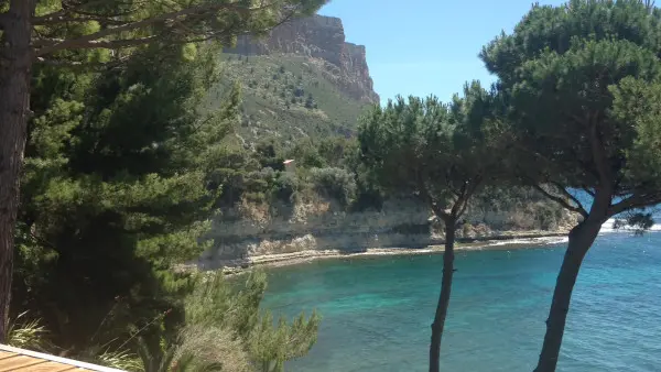 Vignobles de Bandol, Cassis, le Castellet